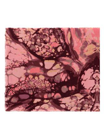 Палантин Labbra