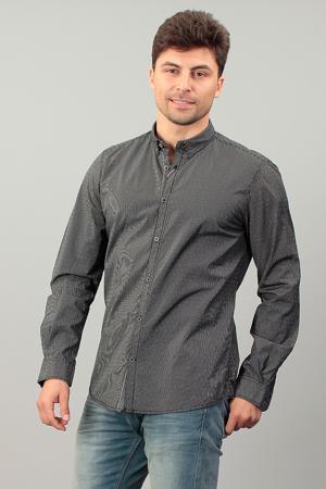 Рубашка Tom Tailor