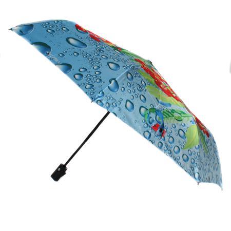 Зонт Flioraj