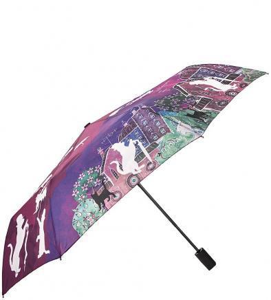 Зонт FLIORAJ