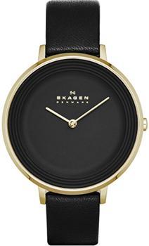 Часы Skagen