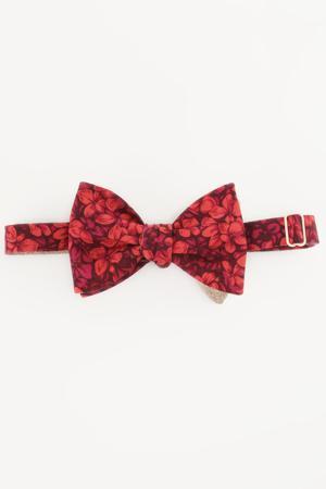 Галстук DYACH