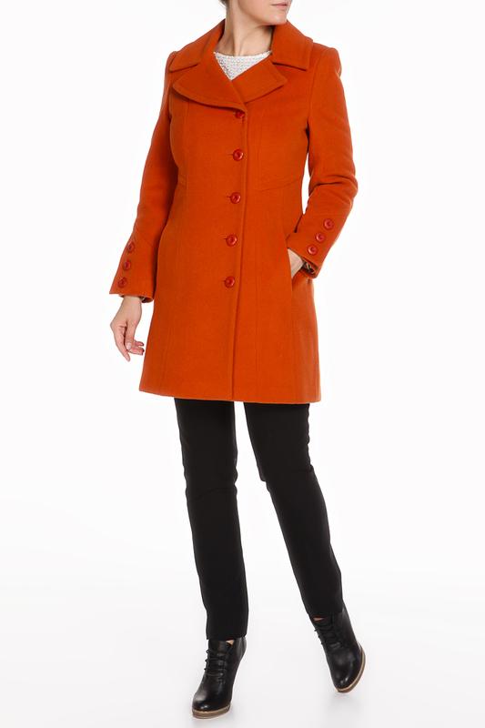 Пальто  -  цвет