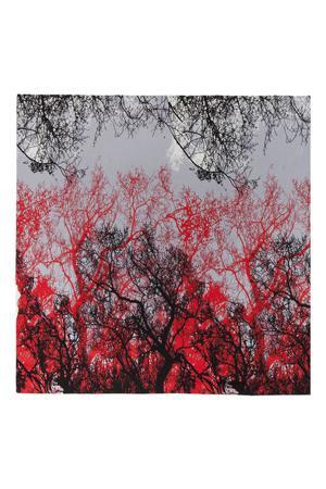 Палантины Labbra