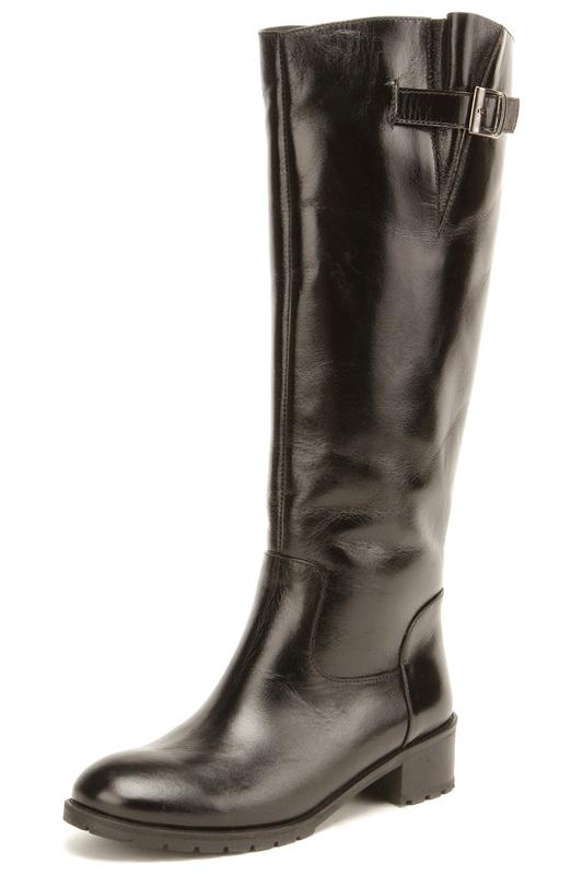 Сапоги  - Черный цвет