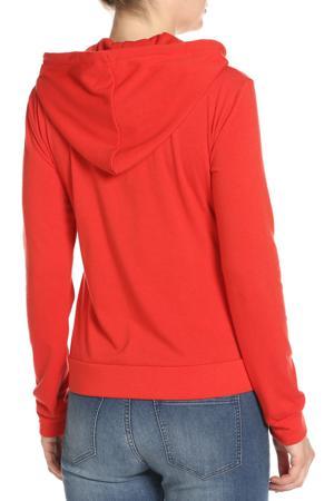 Толстовка Armani Jeans