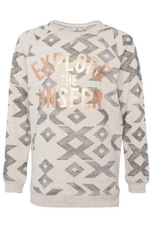 Толстовка Tom Tailor