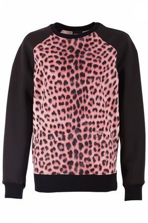 Толстовка Just Cavalli