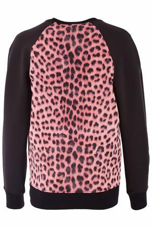 Толстовка Just Cavalli