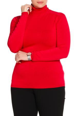 Водолазка Anis White