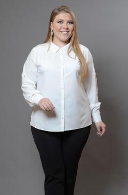 Блузка Avigal (Avrora)