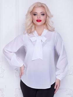 Блузка Diolche