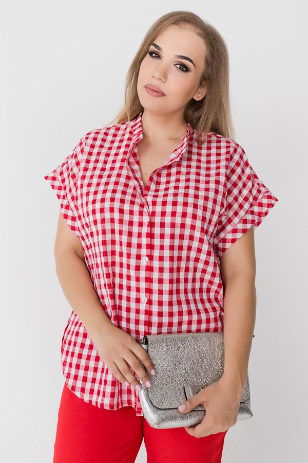 Блузка Eliseeva Olesya