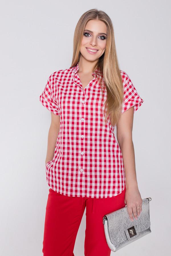 Блузка Eliseeva Olesya