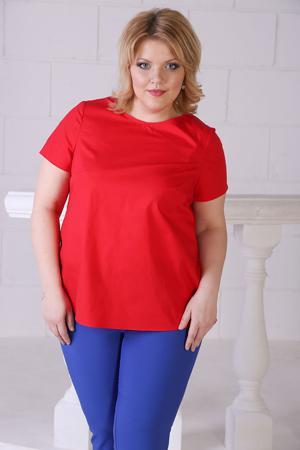 Блузка Jetti-plus
