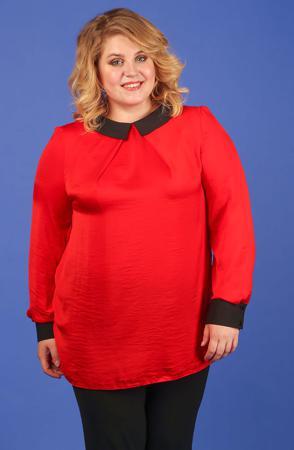 Блузка Jetti-plus