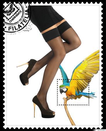 Чулки Charmante