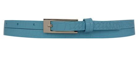 Ремень Alliance