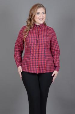 Рубашка Avigal (Avrora)