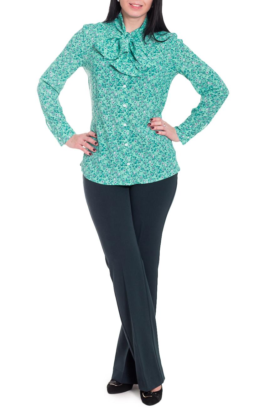 Блузка LacyWear