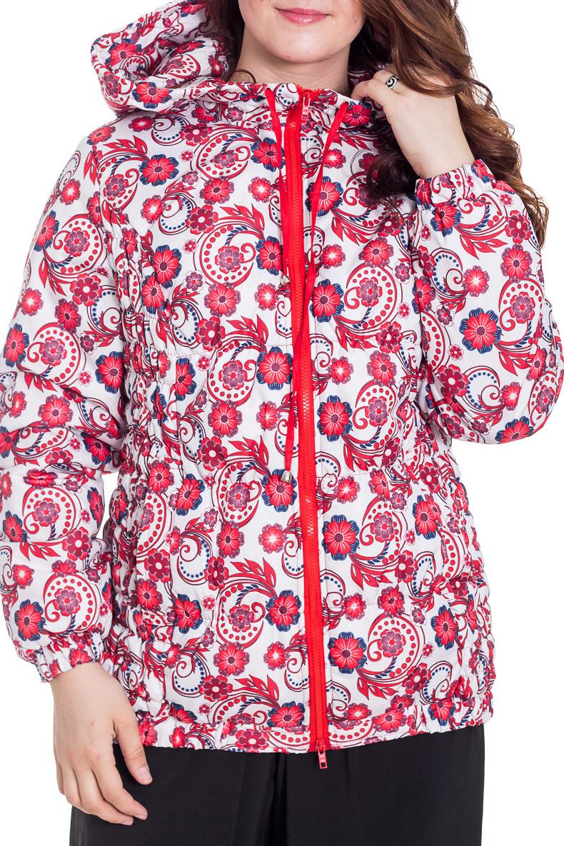Куртка LacyWear