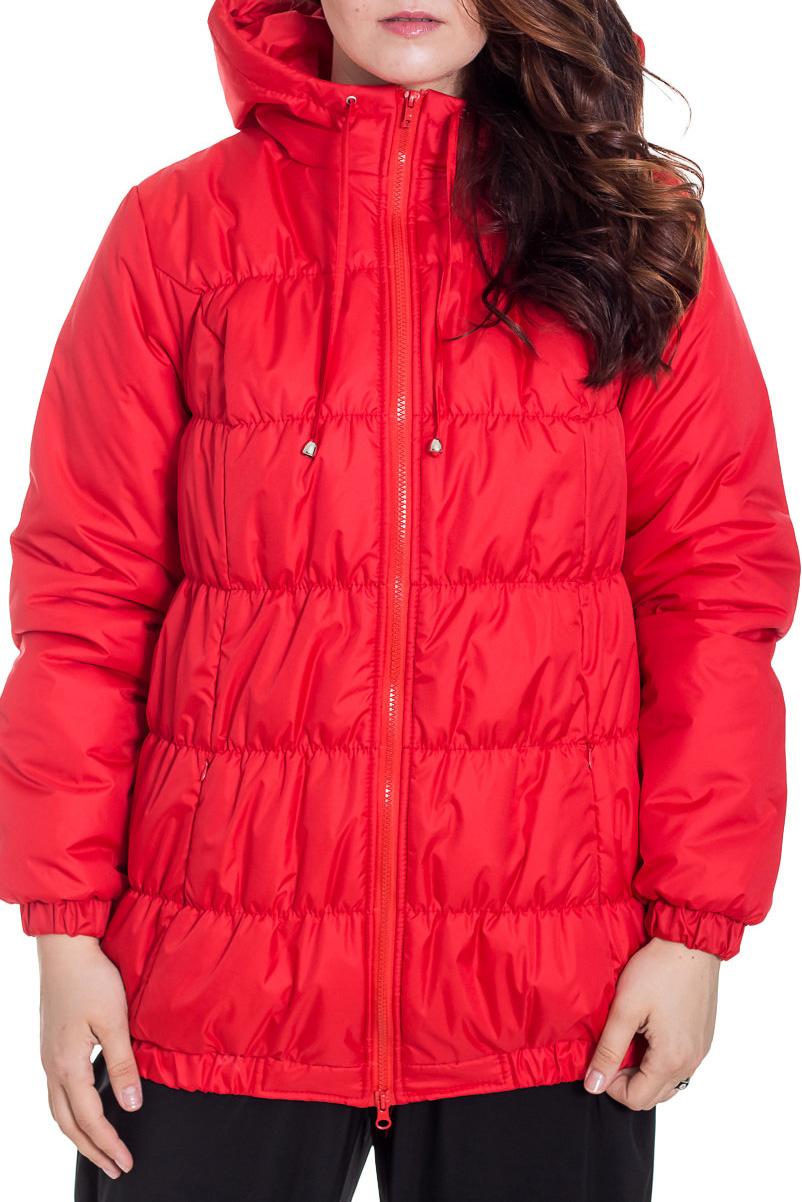 Куртка LacyWear