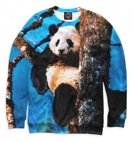 Сорочка LacyWear