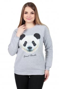 Толстовка LacyWear