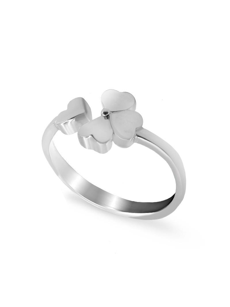 Изделие из серебра Silver Wings