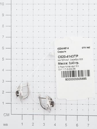 Изделие из серебра ЭСТЕТ