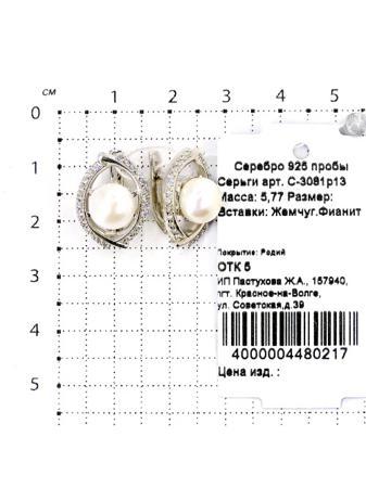 Изделие из серебра Серебро России