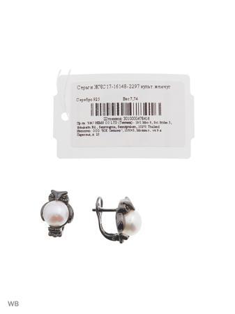 Изделие из серебра Art Silver