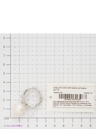 Изделие из серебра Art Silver