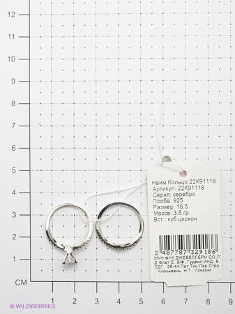 Изделие из серебра Мастер Клио