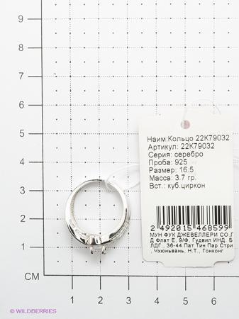 Изделие из серебра Мастер Клио