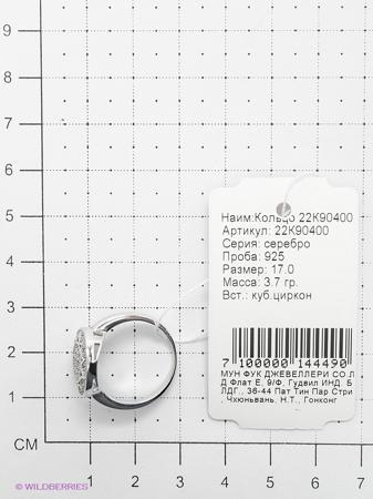 Изделие из серебра Мастер Клио