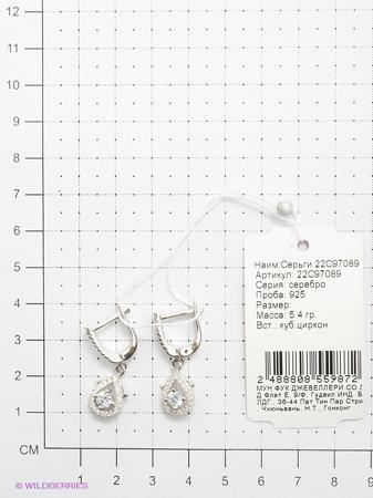 Изделие из серебра Мастер Клио