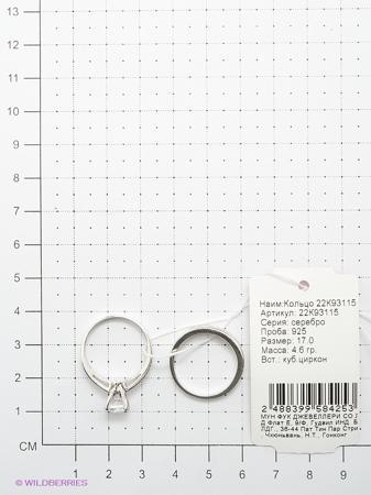 Изделие из серебра Мастер Клио