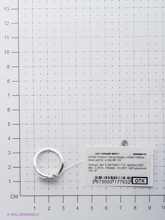 Изделие из серебра Silver Wings