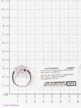 Изделие из серебра Silver Wings