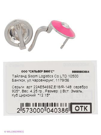 Изделие из серебра Silver Wings