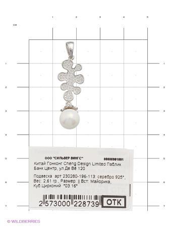 Изделие из серебра Silver Wings