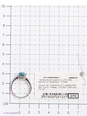 Изделие из серебра Silver Wings