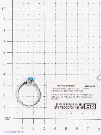 Изделие из серебра Silver Wings