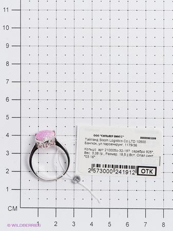 Изделие из серебра Silver Wings