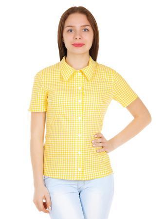 Блузка Faq market