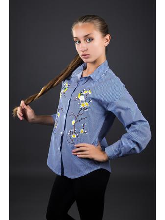 Блузка Fronzoli