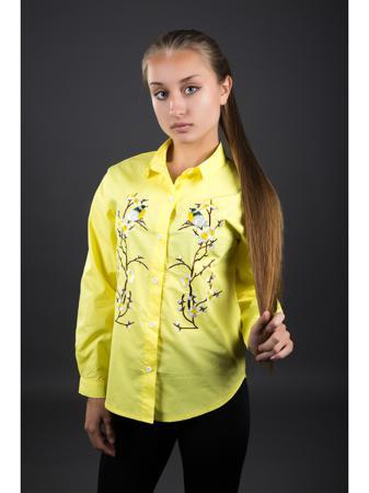 Блузка Fronzoli