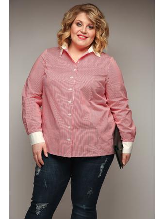 Блузка Jetty-plus