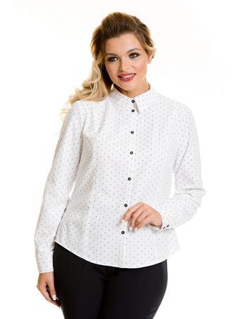 Блузка VENUSITA